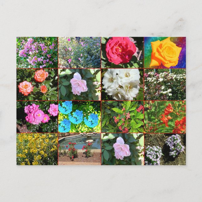 Blume Collage Postcard Postkarte (Vorderseite)