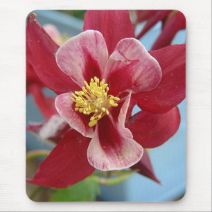 Blume Columbine Mousepad