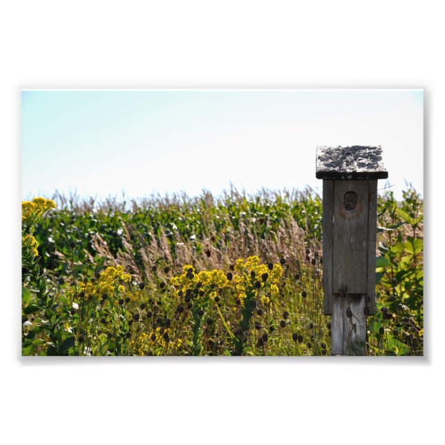 Blume Coop Fotodruck (Vorne)