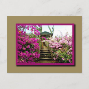 Blume Costa Ricas 01 Postkarte