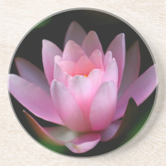 Blume coster sandstein untersetzer