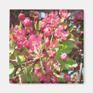 Blume Crab1 Magnet