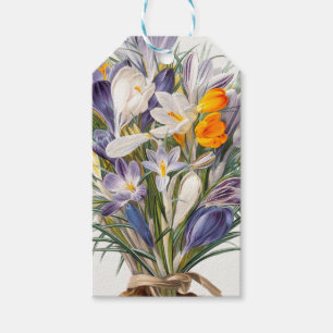 Blume Crocus Spring Botanische Blumenpracht Geschenkanhänger