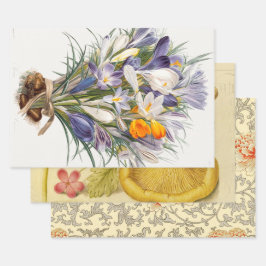 Blume Crocus Spring Botanische Blumenpracht Geschenkpapier Set