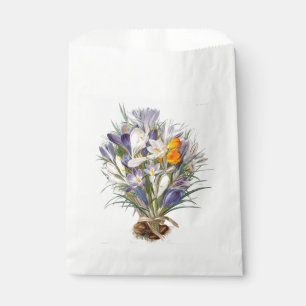 Blume Crocus Spring Botanische Blumenpracht Geschenktütchen