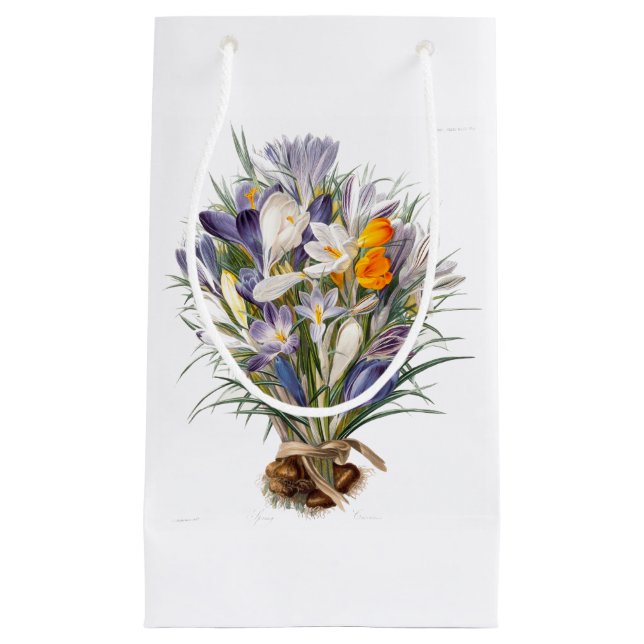 Blume Crocus Spring Botanische Blumenpracht Kleine Geschenktüte (Vorderseite)