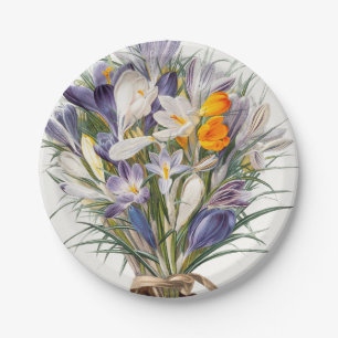 Blume Crocus Spring Botanische Blumenpracht Pappteller