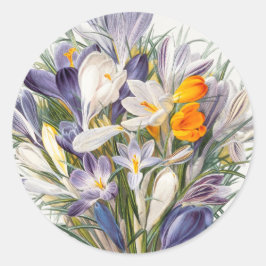 Blume Crocus Spring Botanische Blumenpracht Runder Aufkleber