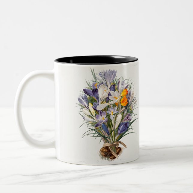 Blume Crocus Spring Botanische Blumenpracht Zweifarbige Tasse (Links)