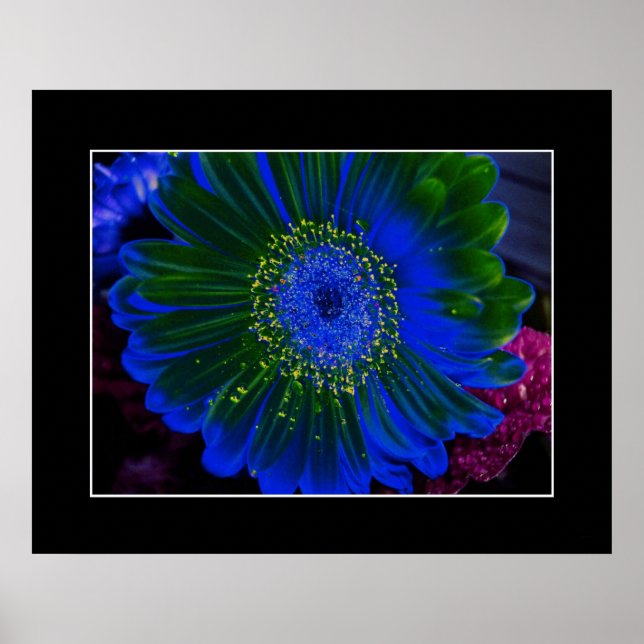 Blume Dahlia Blue Abstrakt Poster (Vorne)