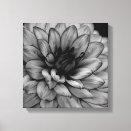 Blume Dahlia Leinwanddruck