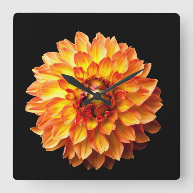 Blume Dahlia Quadratische Wanduhr (Vorderseite)