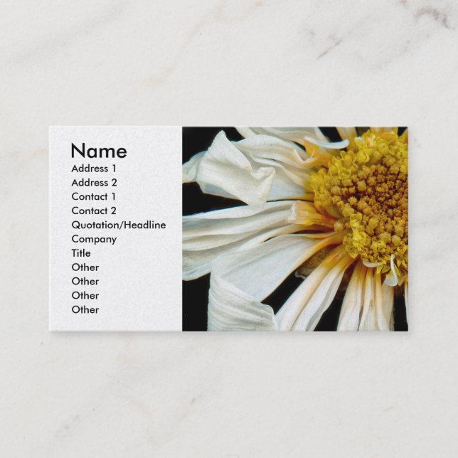 Blume - Daisy - Sonnenbettsonne Visitenkarte (Vorderseite)