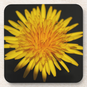 Blume Dandelion Getränkeuntersetzer