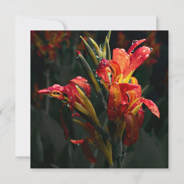 Blume Dankeschön Karte (Vorderseite)