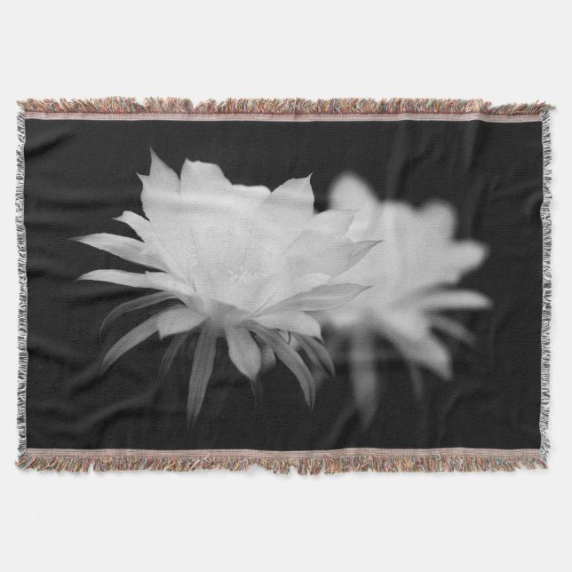 Blume Decke (Vorderseite)