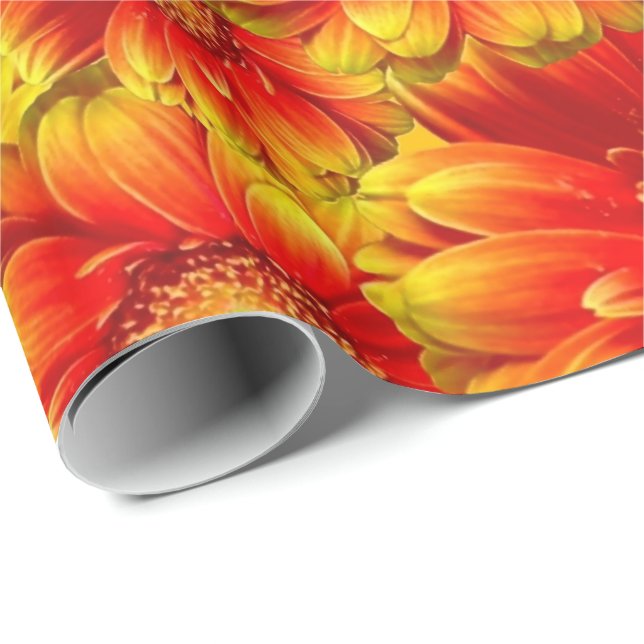 Blume Decor 73 Wrapping Paper Geschenkpapier (Rolleneckpunkt)