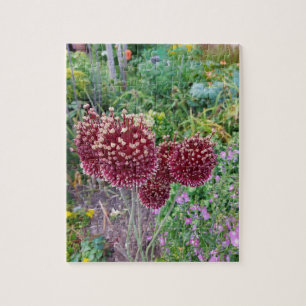 Blume der Allium-Union-Pflanze Puzzle