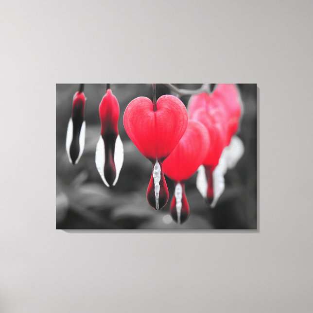 Blume der Blutungen im Herzen: Roter Farbschlag Leinwanddruck (Vorderseite)