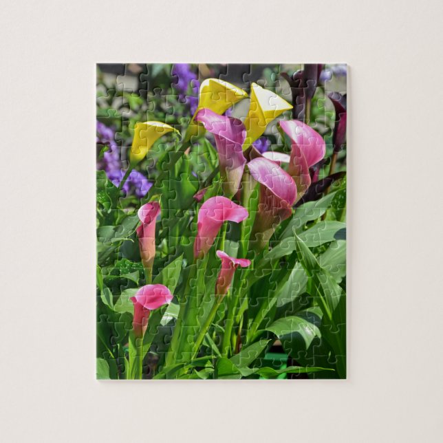 Blume der Calla Lilie Puzzle (Vertikal)
