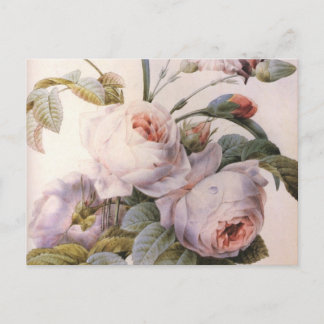 Blume der Carnation Vintag Art Rose Postkarte