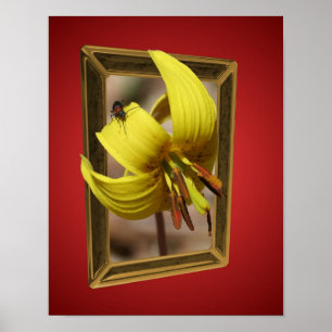 Blume der Forelle Lilie aus den Grenzen der Kunst Poster