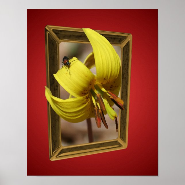 Blume der Forelle Lilie aus den Grenzen der Kunst Poster (Vorne)