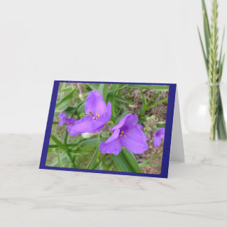 Blume der Kopfkiefer Karte