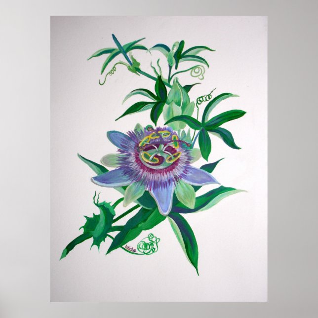 Blume der Leidenschaft Botanische Kunst Poster (Vorne)