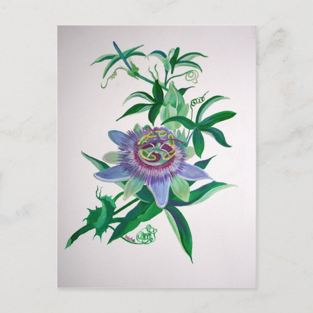 Blume der Leidenschaft Botanische Kunst Postkarte (Vorderseite)