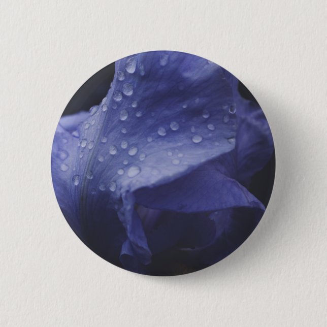Blume der lila Rose Button (Vorderseite)