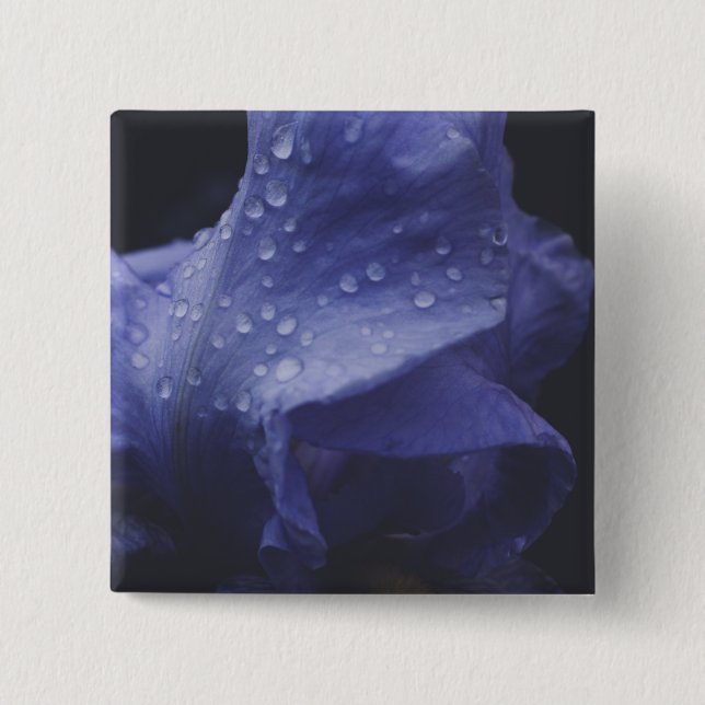 Blume der lila Rose Button (Vorderseite)