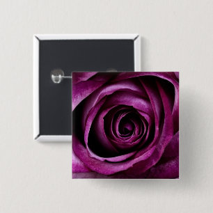 Blume der lila Rose Button
