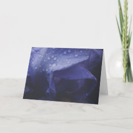 Blume der lila Rose Karte