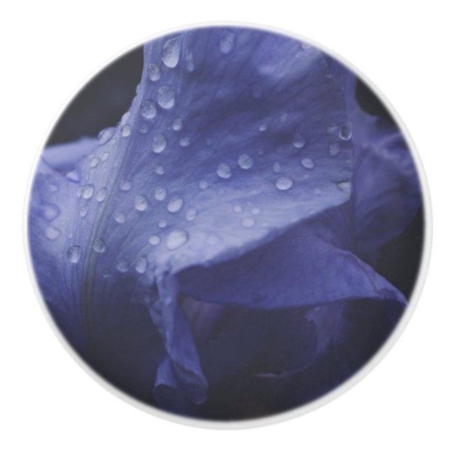 Blume der lila Rose Keramikknauf (Vorderseite)