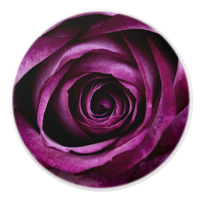 Blume der lila Rose Keramikknauf (Vorderseite)