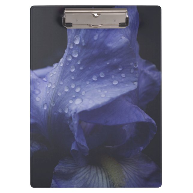 Blume der lila Rose Klemmbrett (Vorderseite)