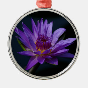 Blume der lila und gelben Lotus-Wasserlilie Silbernes Ornament