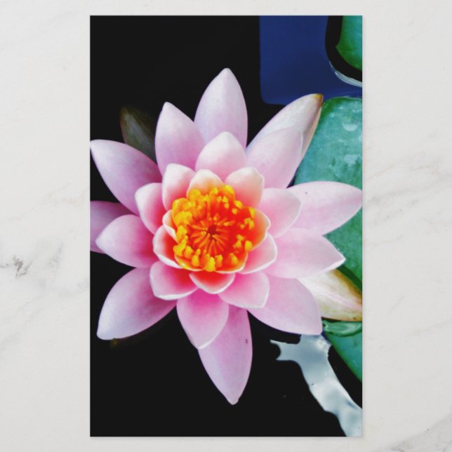 Blume der Lilie (Pink und Orange) (Vorderseite)