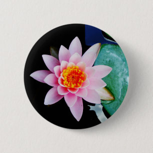 Blume der Lilie (Pink und Orange) Button