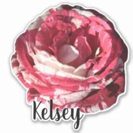 Blume der Monogramm-Rote Rose Niedliche Art Pflanz Aufkleber