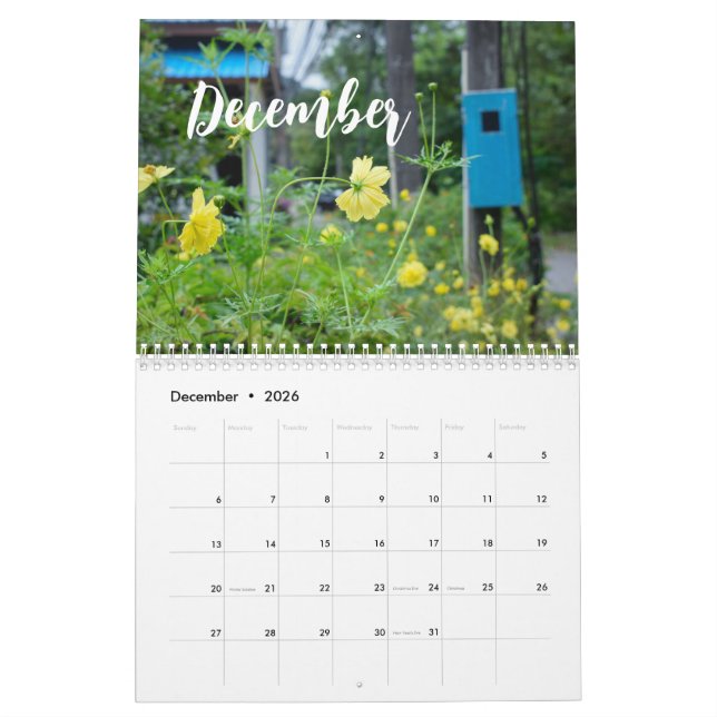 Blume der Neuen Natur/Kalender des Fotos Kalender (Dez 2026)