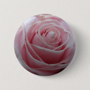 Blume der niedlichen Rose Button