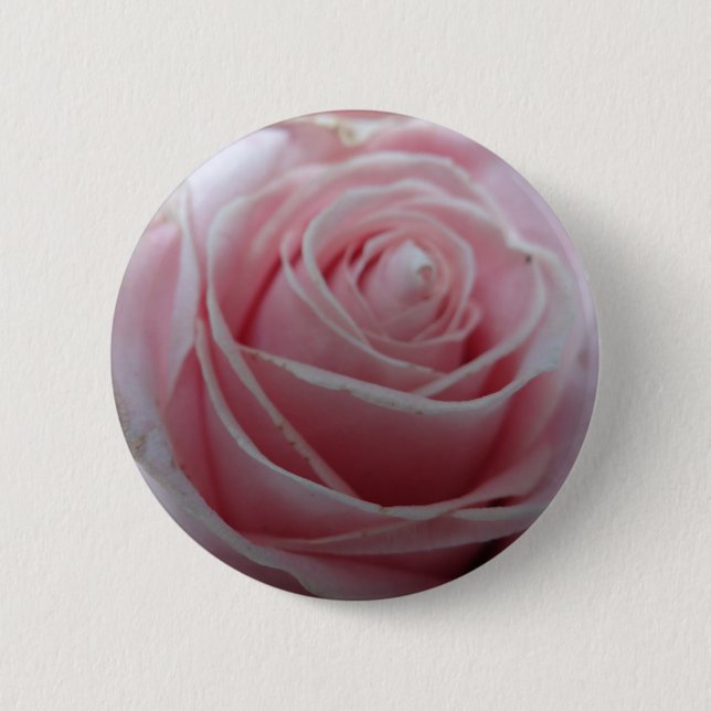 Blume der niedlichen Rose Button (Vorderseite)