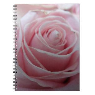 Blume der niedlichen Rose Notizblock