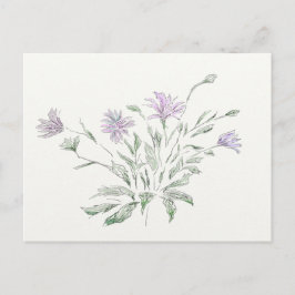 Blume der Postcard Postkarte