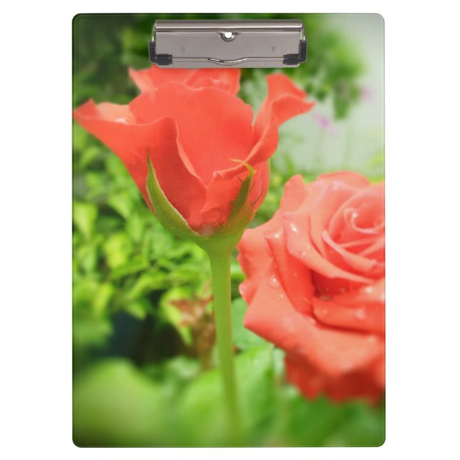 Blume der romantischen Rose Klemmbrett (Vorderseite)