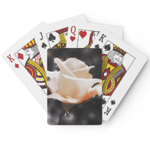 Blume der romantischen Rose