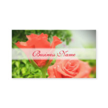 Blume der romantischen Rose
