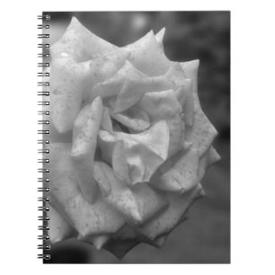 Blume der Rose in BW Notizblock